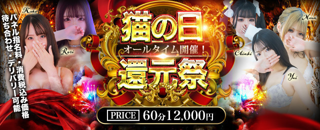 7/12(土)【猫の日還元祭】開催決定！！