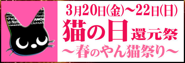 3/20～3/22 『やん猫祭/猫の日』3days!
