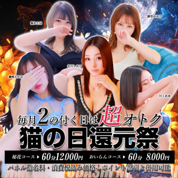 秘京猫の日還元祭640-640.jpg